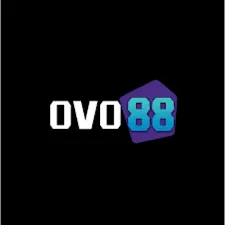OVO88 - Petualangan Seru di Dunia Baru